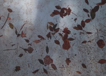 Otra novela rural es posible