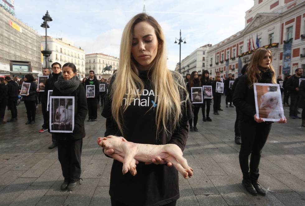 La Hora Del Manifiesto Animalista Cultura El Pais