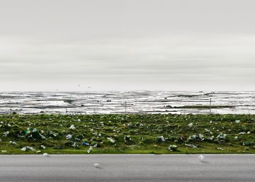 Andreas Gursky: metáforas de nuestros días