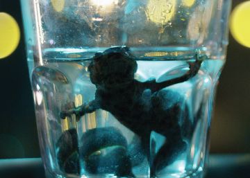 ‘La salamandra’: las dobles vidas de los seres humanos