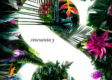 Guía rápida para el Festival de Cine de Cartagena