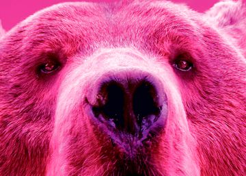 Voces del cine latinoamericano desde Berlín