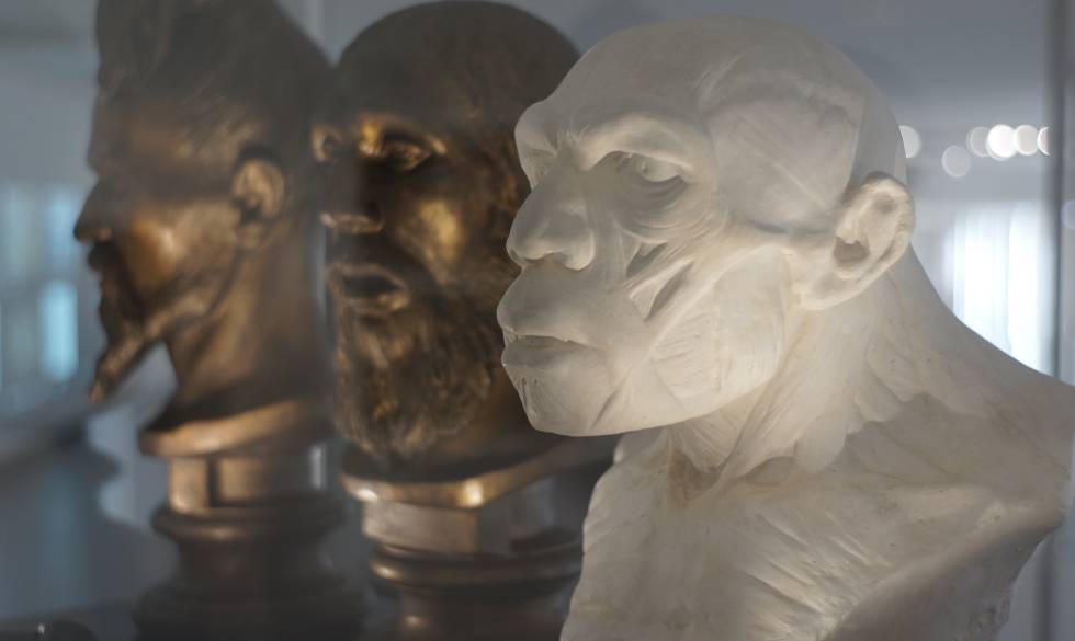 Vitrina con diferentes bustos de neandertales, en el Museo del Hombre.