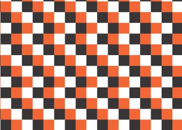 Primavera, verano, otoño y haiku