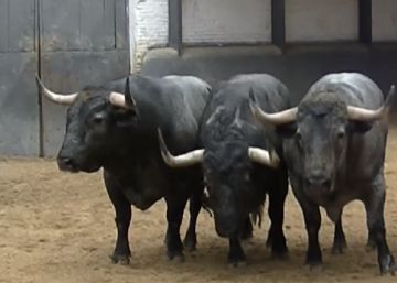 La larga Feria de San Isidro, un duro examen para los once hierros toristas