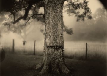 Sally Mann: la amarga belleza de un paisaje