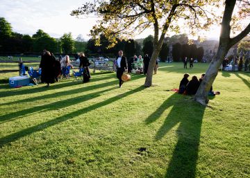 Esplendor en la hierba