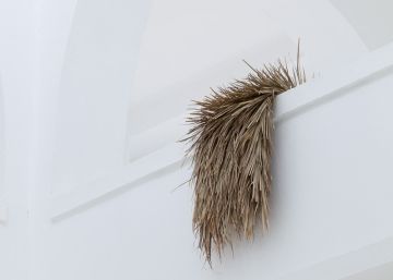 Entre la boca y el ojo