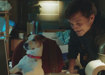 Perro hablador, poco mordedor