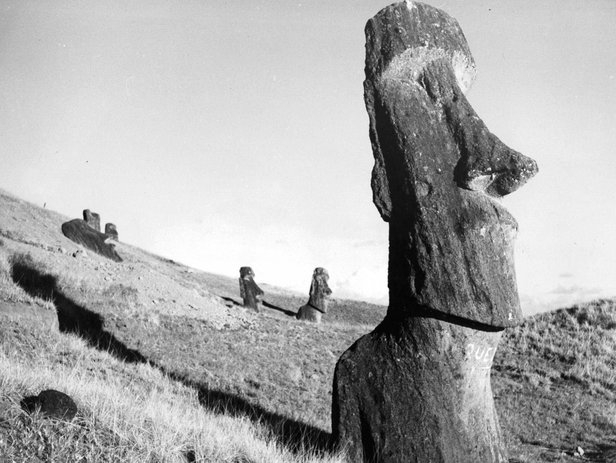 Moáis en el este de la Isla de Pascua. EXPRESS GETTY IMAGES