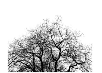 La ventana indiscreta