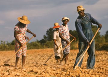 La raza como familia feliz