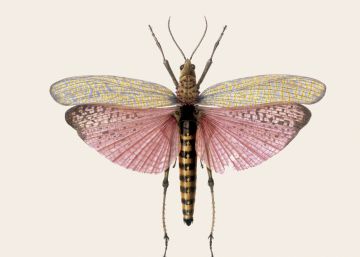 Los libros del próximo número