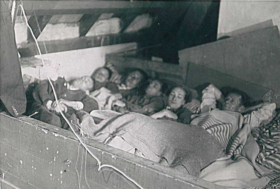 JudÃ­os ocultos, entre 1940 y 1945, en el desvÃ¡n que estaba sobre la galerÃ­a de los mamÃ­feros carnÃ­voros en el zoo de Ãmsterdam.
