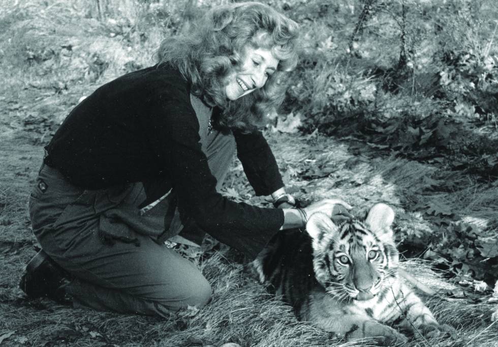 Sy Montgomery acaricia un cachorro de tigre.