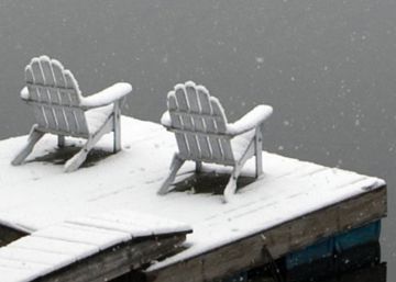 Siete libros de la semana