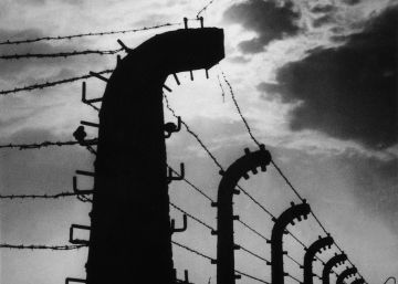 Un brillante aturdimiento