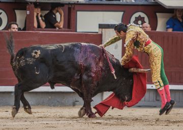 Un veterinario y un biólogo, contra los mitos de la tauromaquia moderna