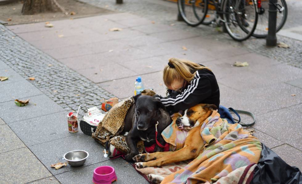 Una indigente, junto a dos perros en una calle de BerlÃ­n.