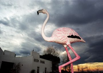 Tanit Plana: “Internet nos convierte en ciegos”