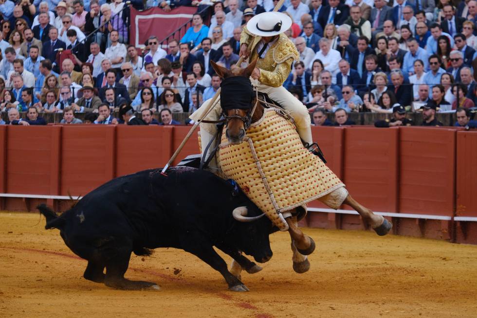 Uno de los toros de Santiago Domecq, este jueves, en su encuentro con el caballo en la plaza de La Maestranza de Sevilla.rn 