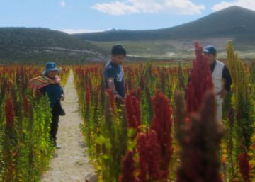 ‘A Taste Of Sky’, una mirada a la revolución de la nueva cocina nórdica en Bolivia