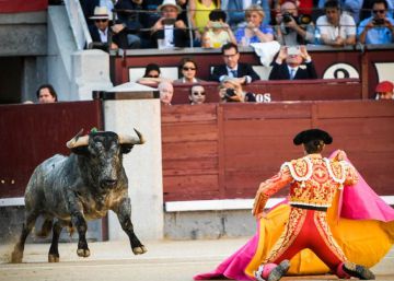 Pasión desatada en San Isidro: ¿son unos sádicos estos aficionados?