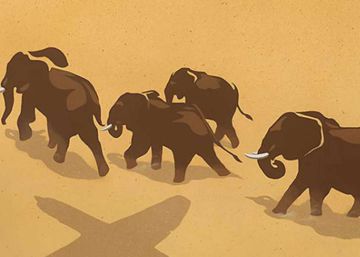 Coltán y corrupción