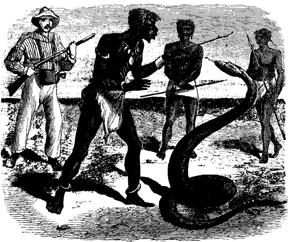 Entre los misteriosos hombres serpiente de Tanganika