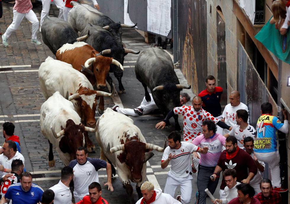Los cabestros, por delante de los toros de José Escolar, el pasado día 9.
