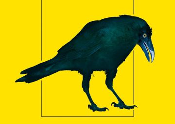 Siete libros de esta semana