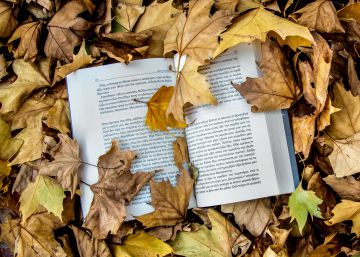 Este sábado en ‘Babelia’, la cultura vuelve a clase