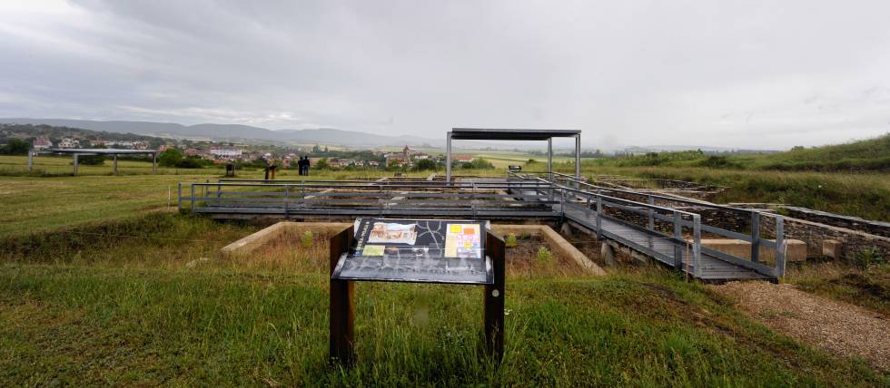 Image of the Iruña Veleia site.