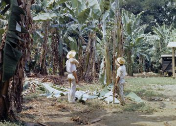 Piedad en tiempos recios