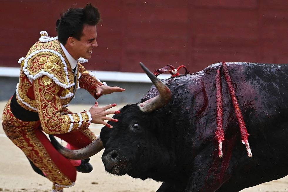 El torero Gonzalo Caballero sufre una cogida este sábado en Las Ventas (Madrid). Plaza de las Ventas.