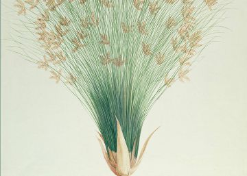 El libro, un invento asombroso