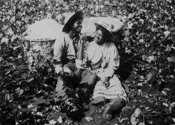 Cuentos desde la plantación