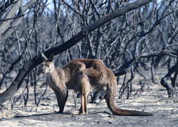 Mad Max ya no transcurre en el futuro