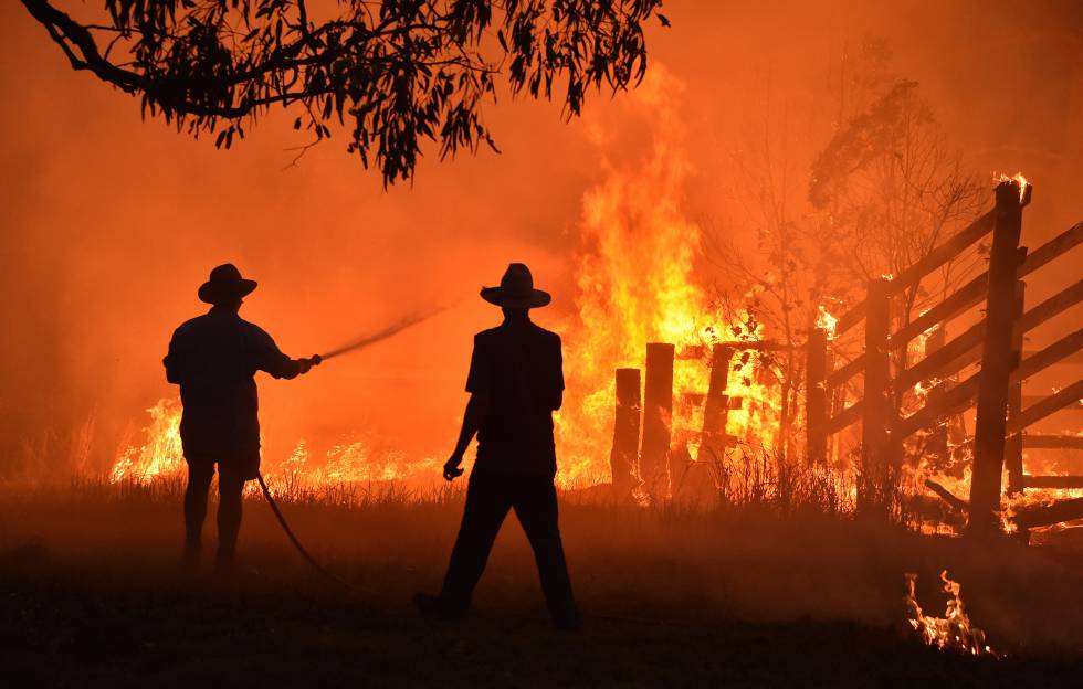 Forest fire in Hillsville, 350 km north of Sydney, in November.