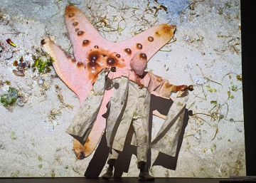 Joan Jonas y el abrazo de langosta