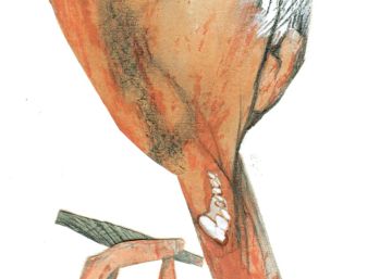 John Updike, el dios cruel y compasivo de la clase media