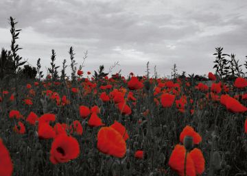 Oscuras bifurcaciones