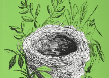 Mujercitas en extraño aislamiento familiar