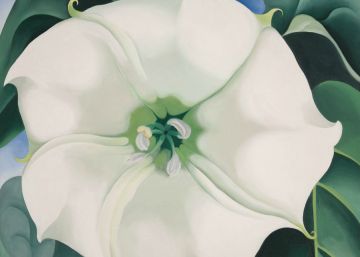 Georgia O'Keeffe y la liberación femenina