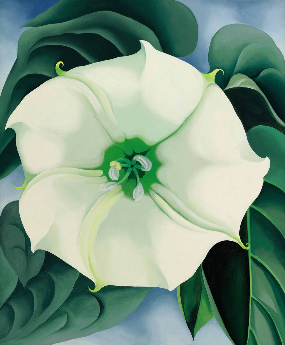 El cuadro 'Jimson WeedWhite Flower No 1' (1932), de Georgia O'Keeffe.