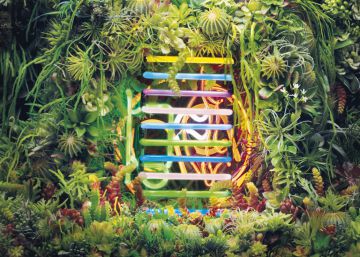 La sincronización de las especies