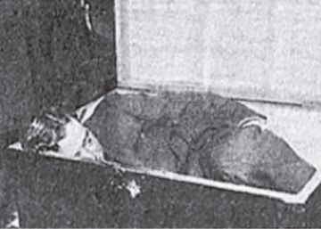 Asesinas que son mujeres