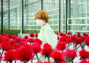 “En sociedad todos llevamos uniforme”