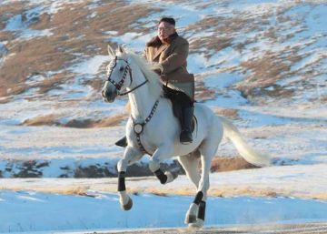 El comunismo es arroz