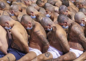 Pandemia: bienvenidos al desierto viral